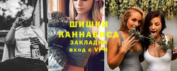 спиды Ладушкин