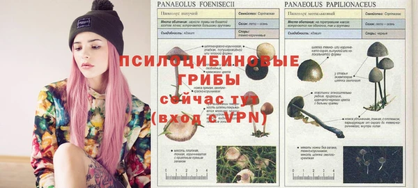 дурь Лагань