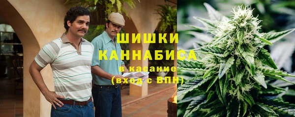 дурь Лагань