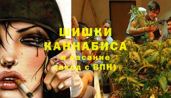 спиды Ладушкин