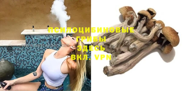 шишки Алапаевск
