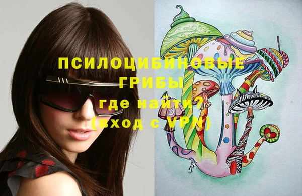 спиды Ладушкин