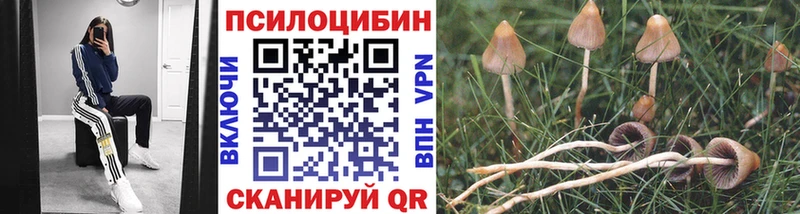 Псилоцибиновые грибы мицелий  Елец 