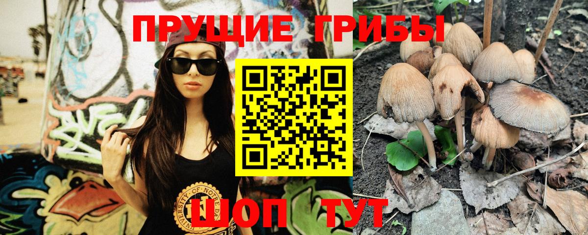 Галлюциногенные грибы Psilocybe  закладка  Елец  Вход с VPN 